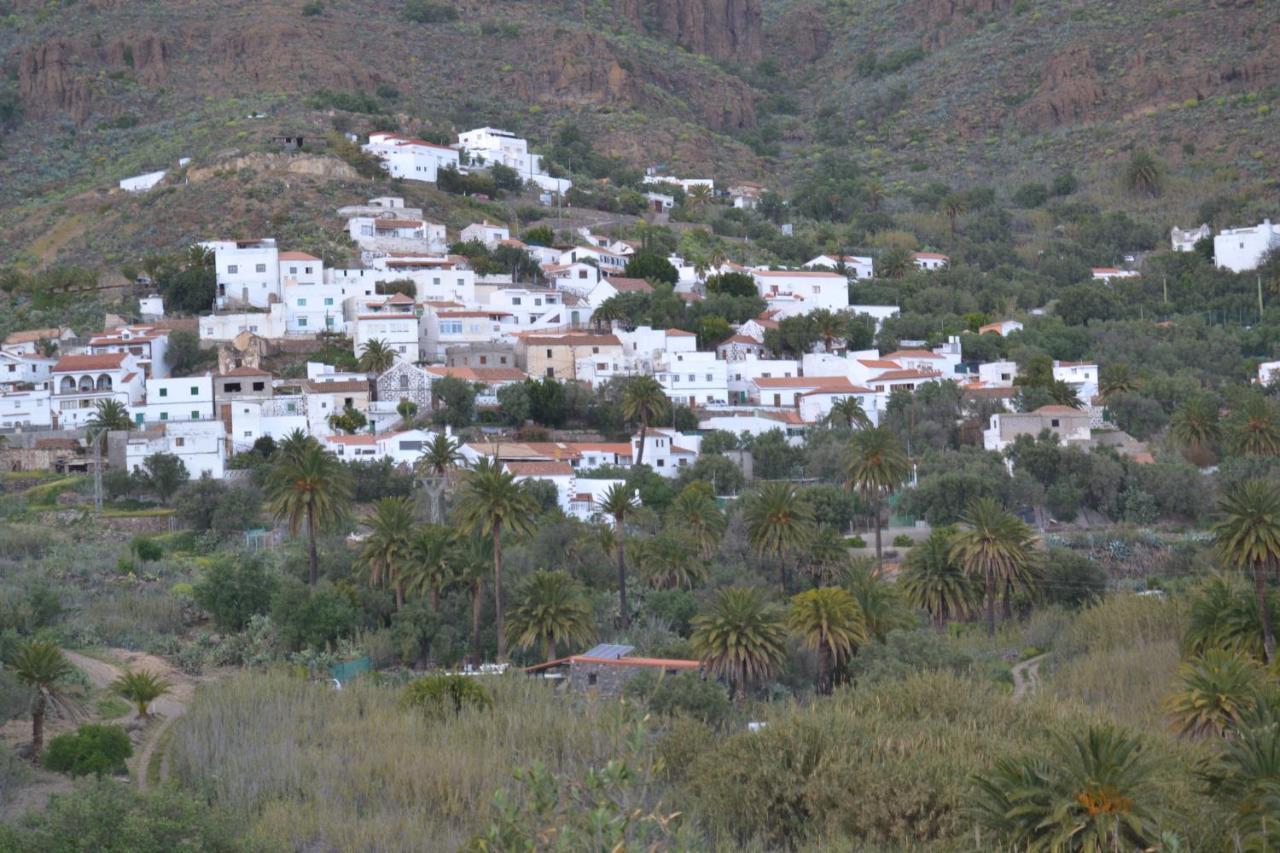 Las Palmeras Temisas 外观 照片