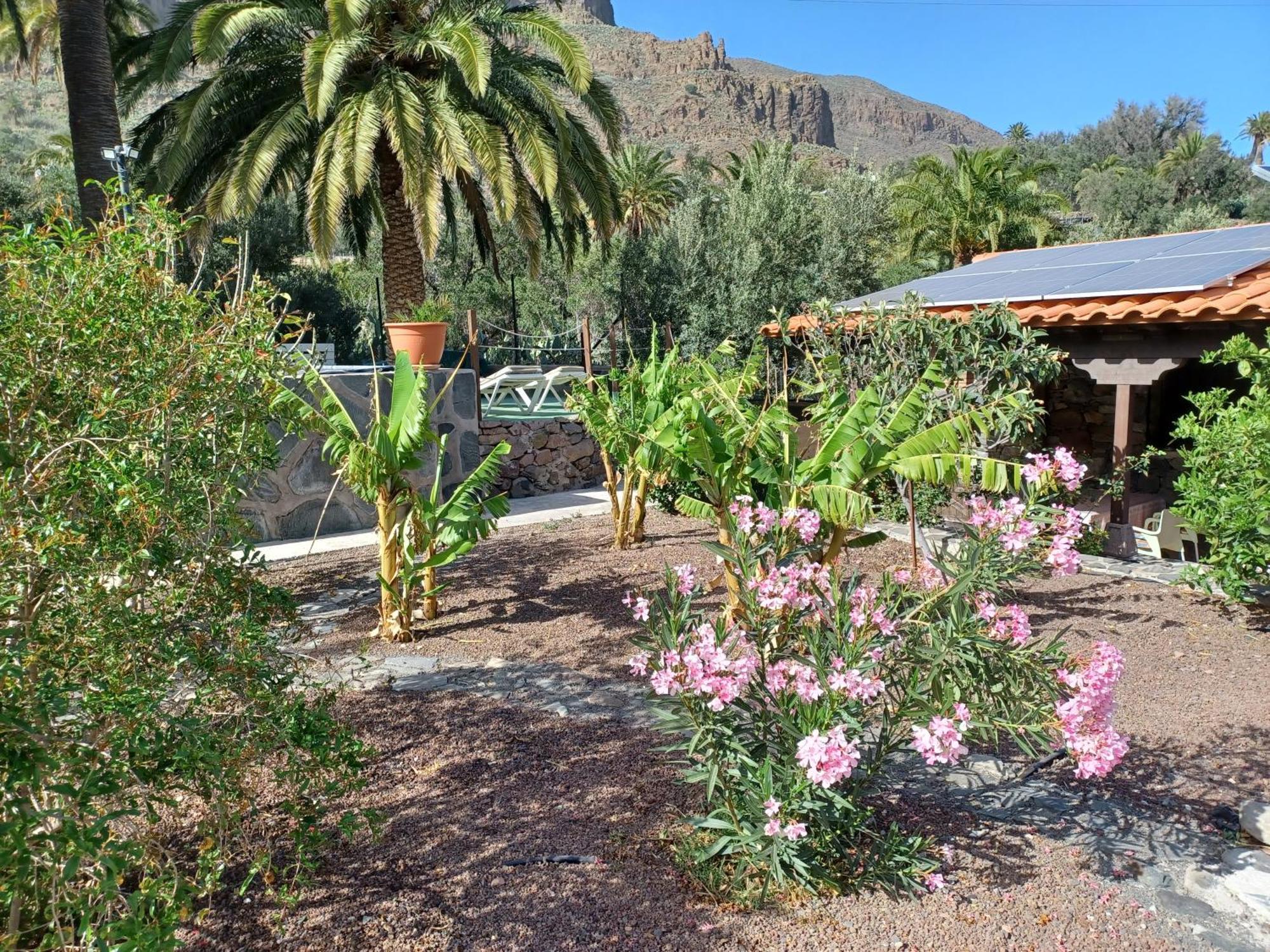 Las Palmeras Temisas 外观 照片